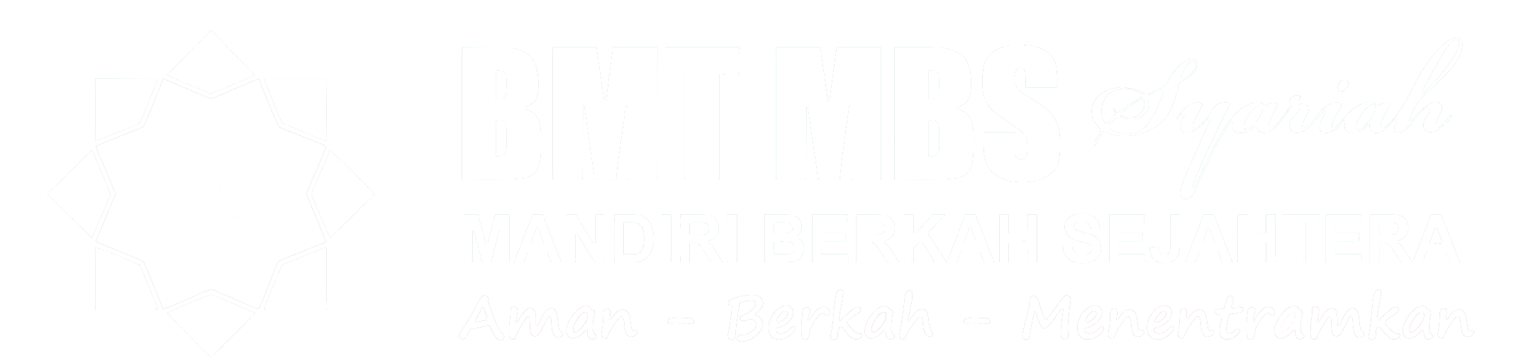 logo BMT white small